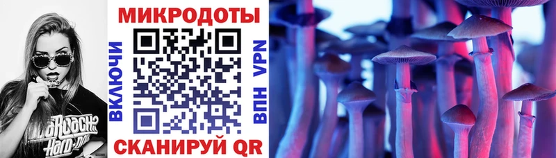 Галлюциногенные грибы прущие грибы  Брюховецкая 